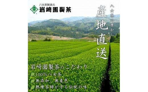 【予約限定茶】希少品「2025年産 初摘み新茶」100g缶詰 ２缶化粧箱入 ギフト対応 ｜2025年5月初旬頃発送