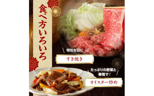 【牛肉】 船小屋牛 肩ローススライス 【500g】《筑後》【冷凍】