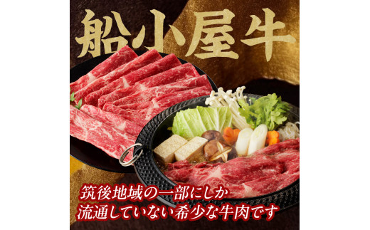 【牛肉】 船小屋牛 肩スライス 【500g】《筑後》【冷凍】