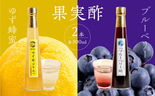 ＜江崎酢醸造元＞果実酢２本セット(ゆず蜂蜜・ブルーベリー)