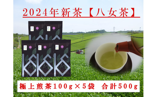 【2024年新茶予約】八女茶 極上煎茶 　100g×5袋【2024年5月上旬発送予定】