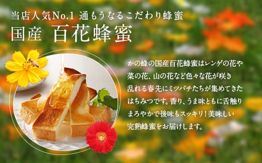 【ギフト用】かの蜂 国産 蜂蜜 ギフト 500g×3本セット（レンゲ 百花 みかん）