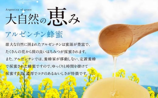 かの蜂 ピュアハニー【AR】3kg（500g×6本） 純粋はちみつ　※エコパックはちみつ90g付き