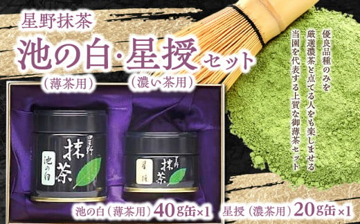 星野抹茶 星授（濃い茶用）・池の白（薄茶用） セット