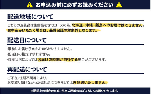 九州・福岡フルーツ王国八女　お試し旬のフルーツ定期便【全２回】 E｜＜配送不可：北海道・沖縄・離島＞