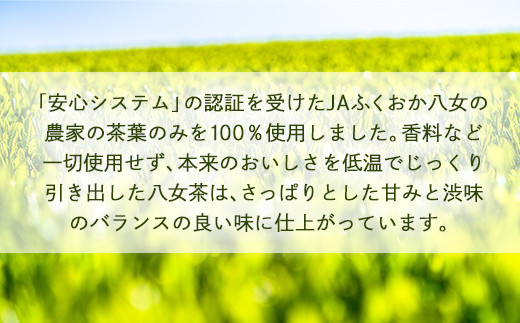 【産地直送】福岡の八女茶 煎茶ペットボトル（500ml×24本）