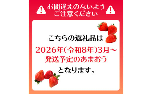 【2025年3月配送開始】福岡・博多名物ブランドいちご「あまおう」 DX（デラックス）4パック 合計約1,080g＜配送不可：北海道・沖縄・離島＞