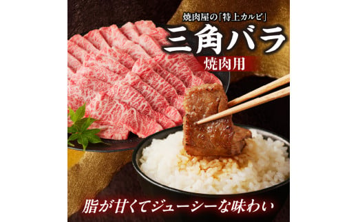 【牛肉】 船小屋牛 三角バラ 焼肉 【500g】《筑後》【冷凍】