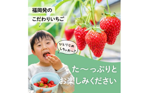 福岡県産あまおう 270g×4パック【2025年2月発送開始】　いちご 苺 イチゴ フルーツ 果物 あまおう