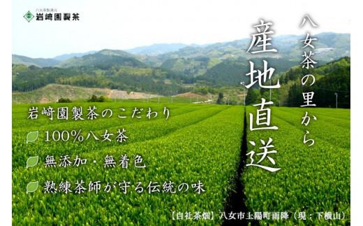 八女茶100％ 高級茶５種飲み比べ (玉露・煎茶・深むし茶) 100g×４袋、50g×１袋