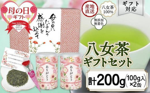 【母の日ギフト】 八女茶100％ 特上煎茶 入り「ありがとう」缶 100g ×2 感謝のメッセージカード ミニカーネーション 付き