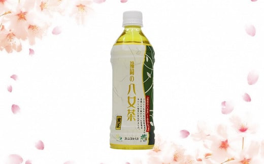 【3ヶ月連続お届け】福岡の八女茶 煎茶ペットボトル（500ml×24本）産地直送