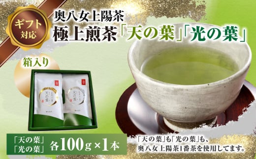 【ギフト用】奥八女上陽茶　極上煎茶「天の葉」100ｇ・極上煎茶「光の葉」100ｇセット箱