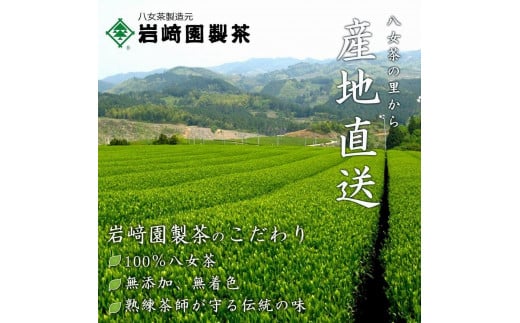 【予約限定茶】希少品「2025年産 特選初摘み新茶」100g缶詰 2缶化粧箱入 ギフト対応｜2025年5月初旬頃発送