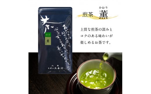 【お茶の光玉園】八女煎茶 100g×5本セット