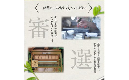 【お茶の光玉園】緑茶バラエティセット 人気の4種 各100g 計5本