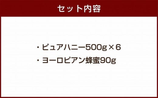 かの蜂 ピュアハニー【AR】3kg（500g×6本） 純粋はちみつ　※エコパックはちみつ90g付き