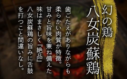 鶏の極みとり源　極みスープの鶏炊き2〜3人前（水炊き）