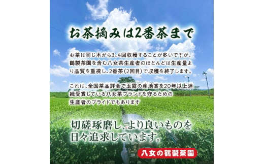 ＜人気の3種飲み比べ＞鶴製茶園の八女茶セット