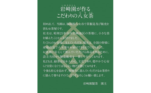 八女茶100％ まろやかなコクとさわやかな後味「特上煎茶」100g×3袋