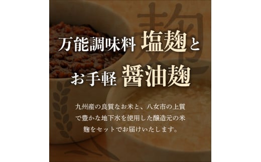 ＜江崎酢醸造元＞醸造元の塩麹・醤油麹４本セット（各２本）