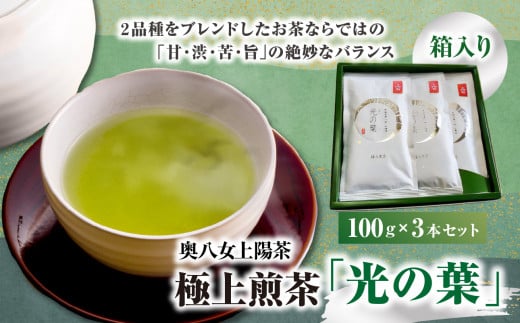 奥八女上陽茶　極上煎茶「光の葉」100ｇ×3本セット箱