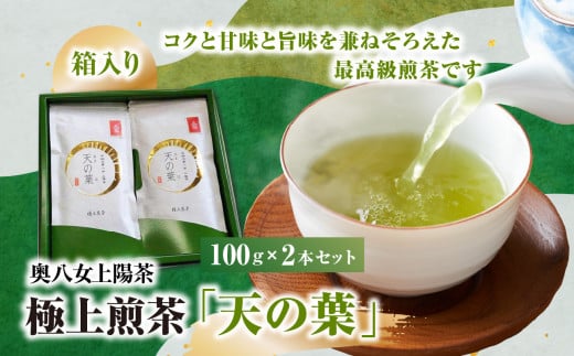 奥八女上陽茶　極上煎茶「天の葉」100ｇ×2本セット箱