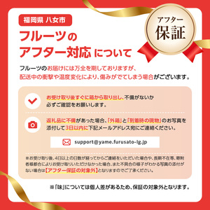 【先行受付】＜福岡のスモモ＞貴陽【1.2kg】【JAふくおか八女】※7月上旬〜発送予定 すもも フルーツ 産地直送 高糖度 糖度18度 美味しい 濃厚 甘酸っぱい 旬 先行予約 数量限定 期間限定 クール便 冷蔵配送