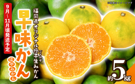 【先行受付】2026年の秋に配送！福岡県オリジナル品種極早生みかん『早味かん』約5kg＜配送不可：北海道・沖縄・離島＞ 果物 フルーツ ミカン おいしい 八女
