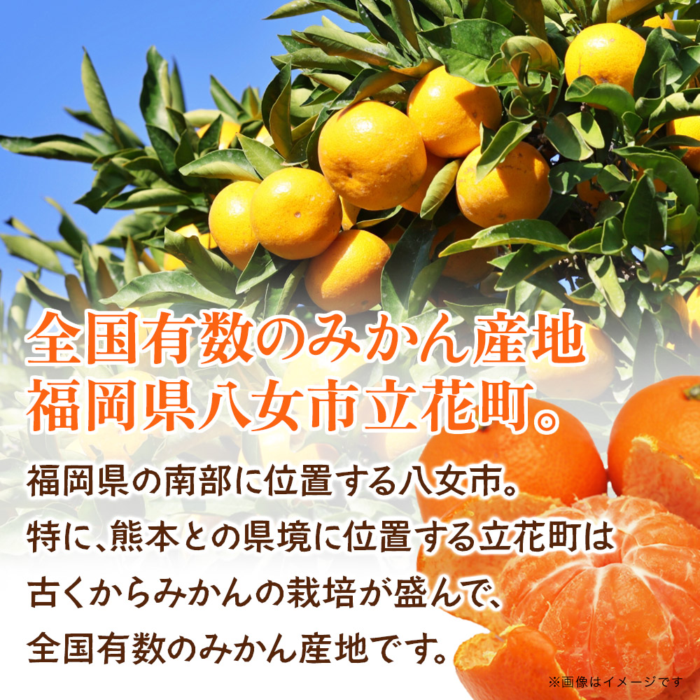 ãå
è¡åä»ãä¹å·ã»çŠå²¡ãã«ãŒãçåœå
«å¥³ ç£å°çŽéïŒæ¬ã®ã¿ãã çŽ10kgã2026幎10æïœ12æé çºéãïŒé
éäžå¯ïŒåæµ·éã»æ²çžã»é¢å³¶ïŒ ã¿ãã æ¬ æ©ç ã¬ã®ã¥ã©ãŒ No.1 ç£å°çŽé çŠå²¡ç å
«å¥³åž