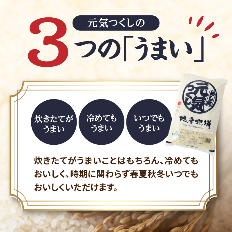 ä¹å·ã»çŠå²¡ãããå±ãïŒãã©ã³ãç±³ãå
æ°ã€ããã 10kg(5ãÃ2) ãç±³ ç±³ ã³ã¡ çœç±³ ç¹A çŽé ãåŒåœ ãã«ãã çãã㊠ã〠ç²ã ãã¡ã㡠匟å åµããã飯 çŠå²¡ç å
«å¥³åž