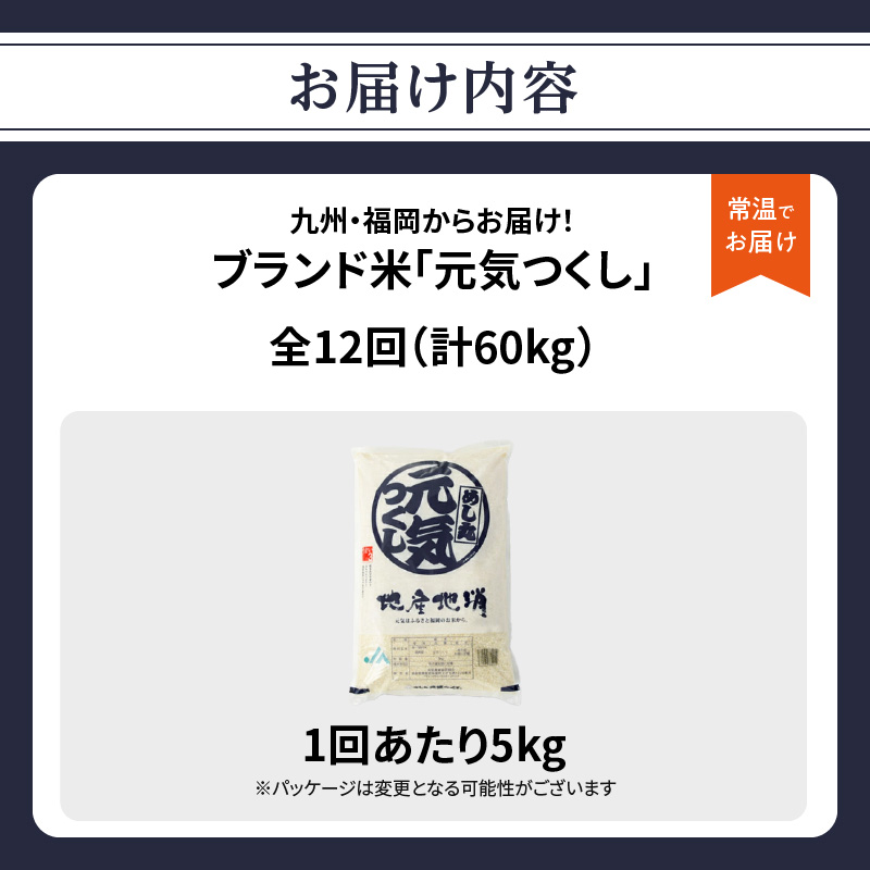 九州・福岡からお届け！ブランド米「元気つくし」定期便【全12回】 お米 米 コメ 白米 特A 直送 お弁当 おにぎり 炊きたて ツヤ 粘り もちもち 弾力 卵かけご飯 福岡県 八女市