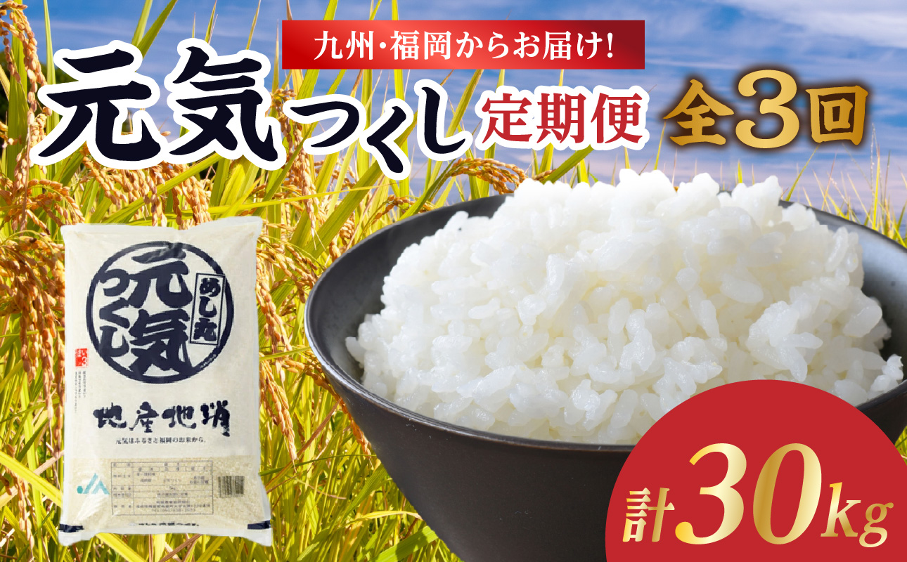 九州・福岡からお届け！ブランド米「元気つくし」定期便 10kg(5㎏×2)【全3回】 お米 米 コメ 白米 特A 直送 お弁当 おにぎり 炊きたて ツヤ 粘り もちもち 弾力 卵かけご飯 福岡県 八女市