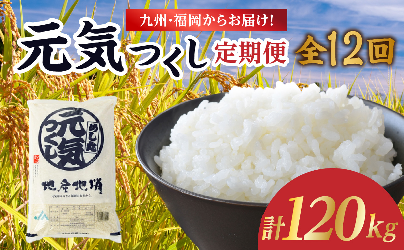九州・福岡からお届け！ブランド米「元気つくし」定期便 10kg(5㎏×2)【全12回】 お米 米 コメ 白米 特A 直送 お弁当 おにぎり 炊きたて ツヤ 粘り もちもち 弾力 卵かけご飯 福岡県 八女市