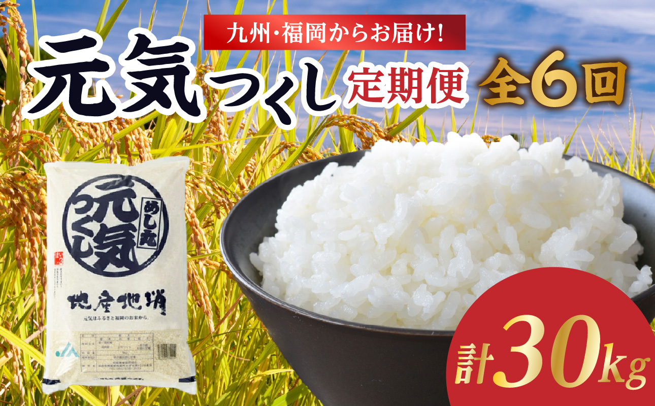 九州・福岡からお届け！ブランド米「元気つくし」定期便【全6回】 お米 米 コメ 白米 特A 直送 お弁当 おにぎり 炊きたて ツヤ 粘り もちもち 弾力 卵かけご飯 福岡県 八女市