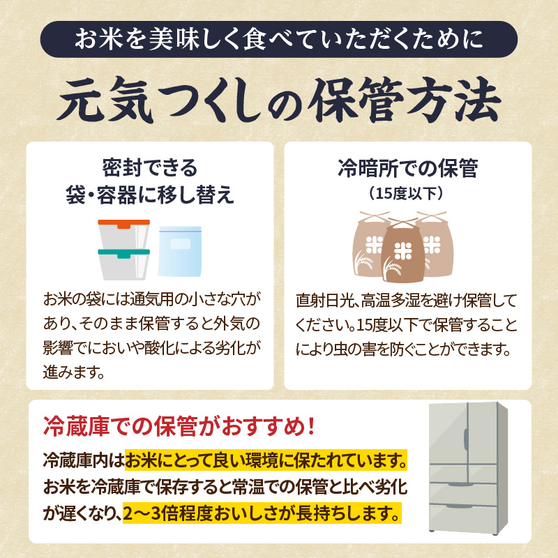 九州・福岡からお届け！ブランド米「元気つくし」定期便【全12回】 お米 米 コメ 白米 特A 直送 お弁当 おにぎり 炊きたて ツヤ 粘り もちもち 弾力 卵かけご飯 福岡県 八女市
