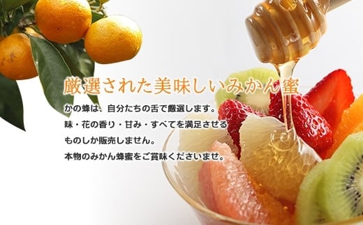 ïŒåœç£ïŒãã®è ã¿ããèèã300gÃ2åãçŠå²¡çå
«å¥³åžã§åç²ããå®çã¿ããèè