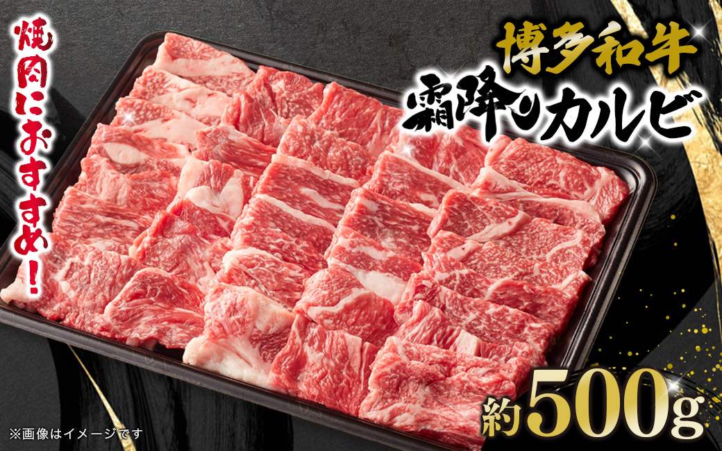 博多和牛 霜降りカルビ 約500g