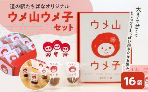 ＜道の駅たちばなオリジナル＞ウメ山ウメ子セット