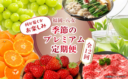 福岡・八女　季節のお楽しみプレミアム定期便【12ヶ月】全12回＜配送不可：北海道・沖縄・離島＞