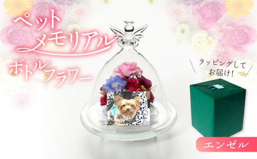 ãããã¡ã¢ãªã¢ã« ããã«ãã©ã¯ãŒ ãäŸããæãã¿ ãšã³ãŒã«