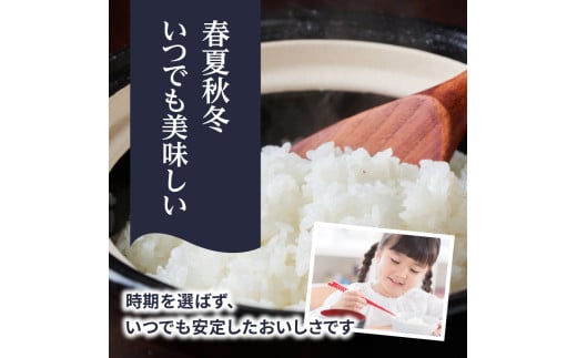 九州・福岡からお届け！ブランド米「元気つくし」定期便【全5回】 お米 米 コメ 白米 特A 直送 お弁当 おにぎり 炊きたて ツヤ 粘り もちもち 弾力 卵かけご飯 福岡県 八女市