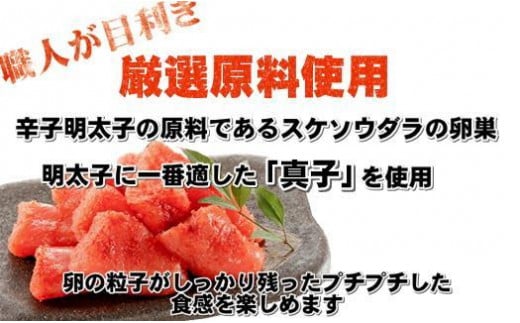 ãã詊ããèŸåæå€ªååå°ãïŒïŒïŒïœãèš³ã¢ãªãå倿Œåž«ã®é