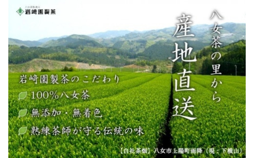 八女茶100％ お茶の世界を楽しむ！５種の茶葉飲み比べセット 100g×５袋 八女茶 煎茶 深むし 白折茶 くき茶 玄米茶 抹茶 飲みくらべ 無添加 無着色 福岡県 八女市