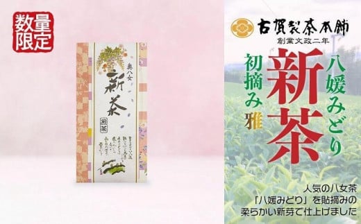 古賀製茶本舗　奥八女初摘み新茶　八媛みどり「雅」特上煎茶　１００ｇ【2024年5月以降発送】 【メール便】