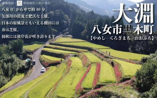 ãçŠå²¡å
«å¥³ã»å¥¥å
«å¥³ãéå±±ã®æµã¿ããéèïŒæä»èŸŒã¿ã»ããå®æäŸ¿ãå
šïŒåãâ»é
éäžå¯ïŒåæµ·éãšé¢å³¶ïŒæ²çžæ¬å³¶ãå«ãïŒ