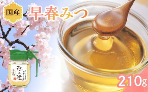 蝗ス逕」 譌ゥ譏・縺ソ縺、 210ス