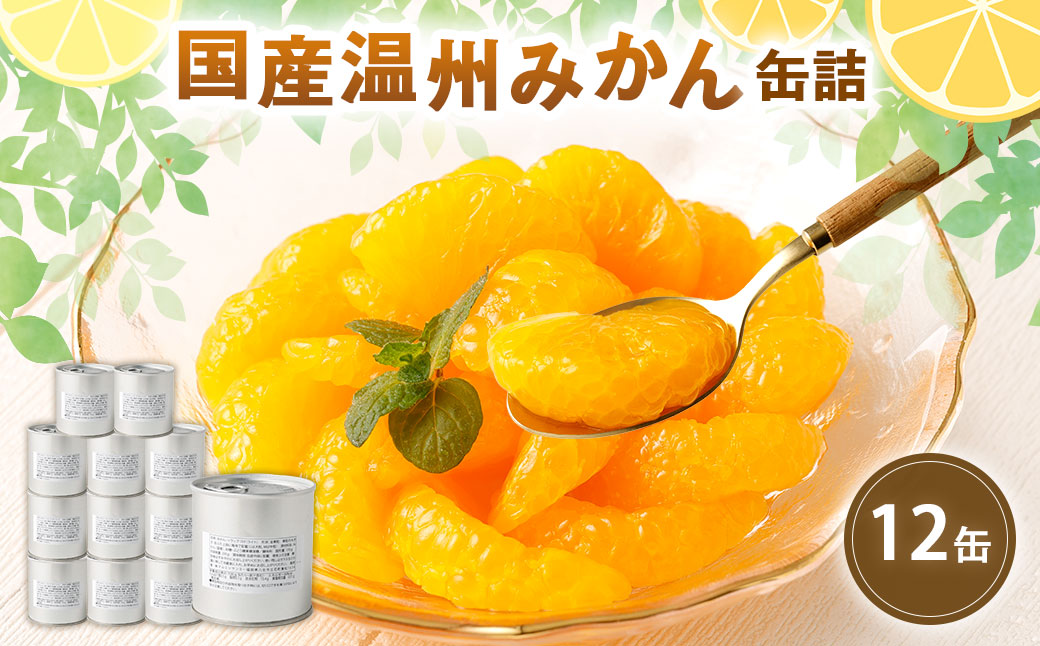 缶詰 国産 温州みかん缶詰12缶入（全粒）