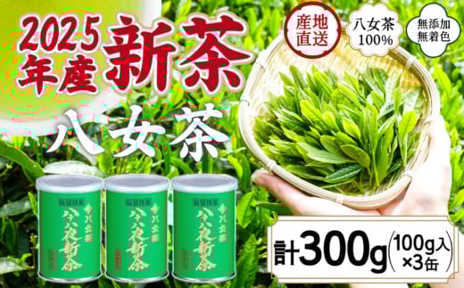 2025年産 八女茶 八十八夜新茶 産地の香りを閉じ込めたお茶の缶詰 100g×３缶