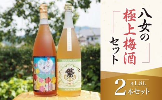 八女の極上梅酒セット 純米酒仕込み 飲み比べ お酒 本格梅酒 ロック 福岡県 八女市